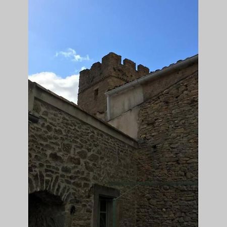 Le Petit Ormeau Attenant A La Tour Du Portail Neuf Apartment Laure-Minervois Bagian luar foto